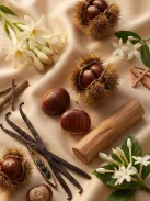 Romeron Platin – Creamy Wood | Női Eau de Parfum 50 ml