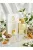Romeron Platin – Cosmic Desert | Női Eau de Parfum 50 ml
