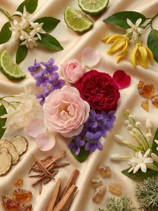   Romeron Platin – Spring in Paris | Női Eau de Parfum 50 ml