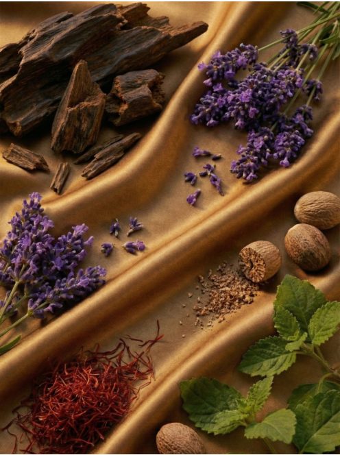 Romeron Platin – Spiritual Woods | Unisex Eau de Parfum 50 ml