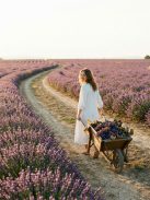 Romeron Platin – Purple Essence | Női Eau de Parfum 50 ml